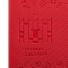 Обложка для автодокументов Бизнес-зодиак. Лев Обложка для автодокументов Бизнес-зодиак. Лев