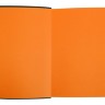 Ежедневник Soft Book, мягкая обложка, недатированный, оранжевый Ежедневник Soft Book, мягкая обложка, недатированный, оранжевый