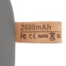 Внешний аккумулятор Pebble 2600 мАч, серый