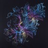 Толстовка Vibrance
