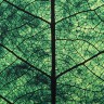 Внешний аккумулятор Evergreen, 10 000 мAч Внешний аккумулятор Evergreen, 10 000 мAч