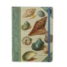 Книга для записей Shells