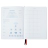 Ежедневник Control, недатированный, синий