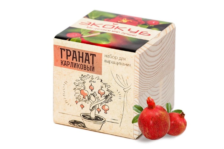 Набор для выращивания Экокуб, гранат