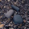 Внешний аккумулятор Pebble 5200, темно-серый