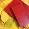 Ежедневник Lyric Mini, недатированный, красный Ежедневник Lyric Mini, недатированный, красный