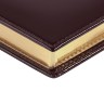 Ежедневник LUXE REPTAIL, недатированный, коричневый